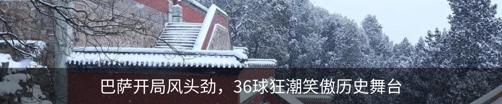 最新动态