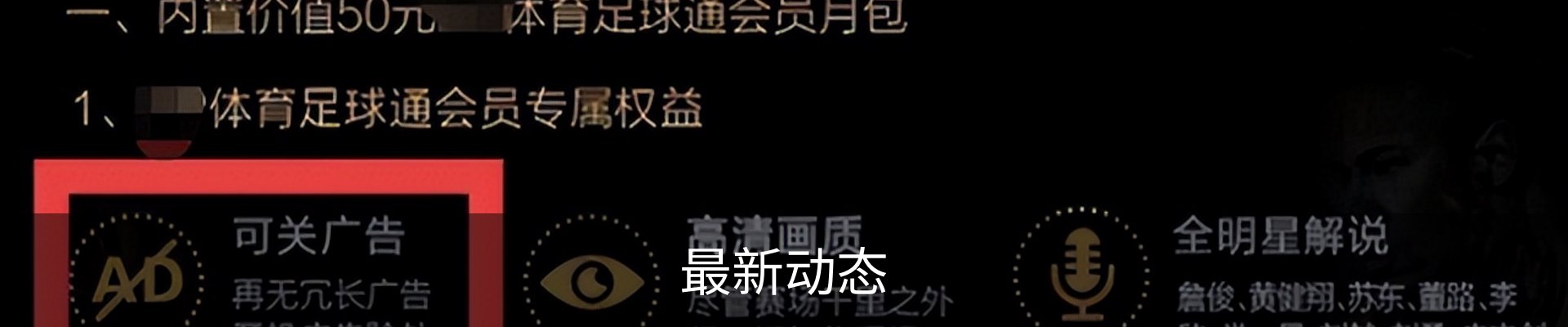 最新动态