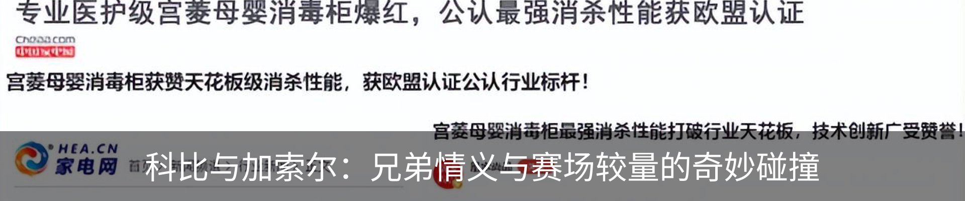 最新动态